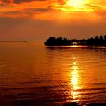 Thelma McKenzie Profile Picture