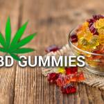 levelcbd gummies profile picture