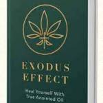 Exodus Effect profile picture