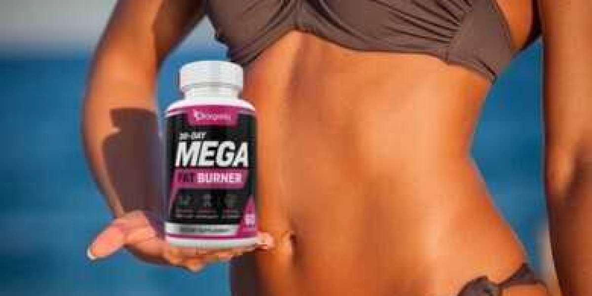 Fat Burner Supplement at Best Price in India | prorganiq