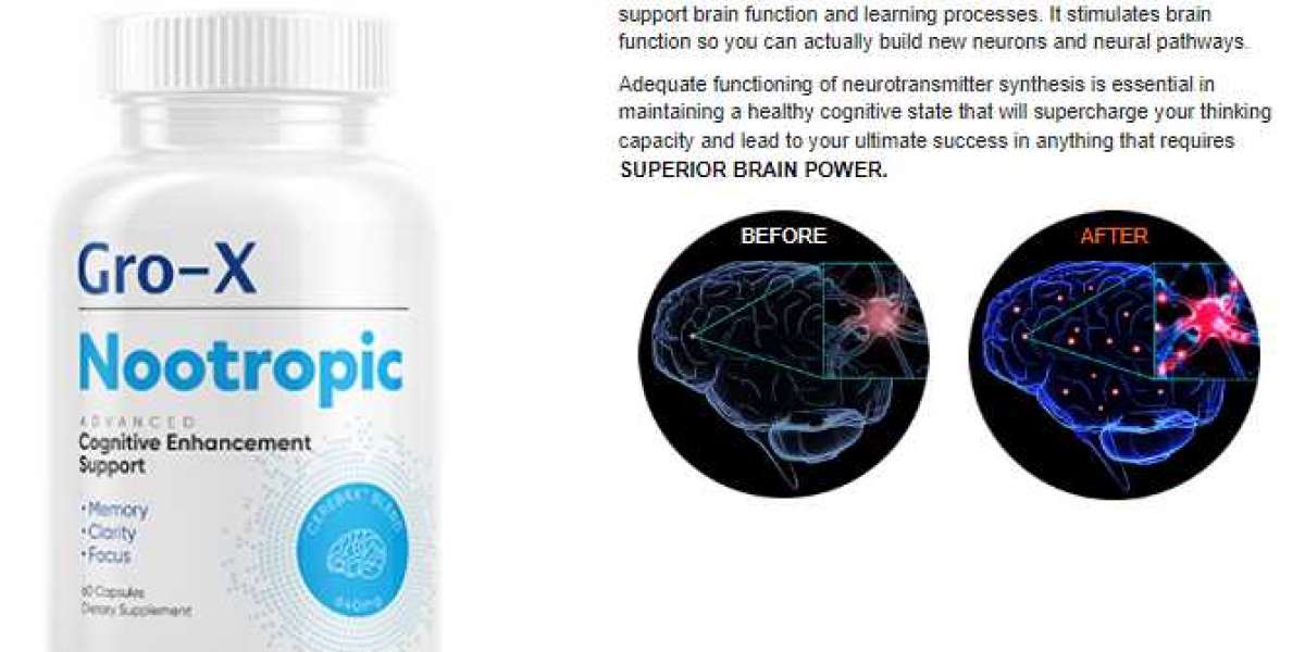 Gro-X Brain Nootropic