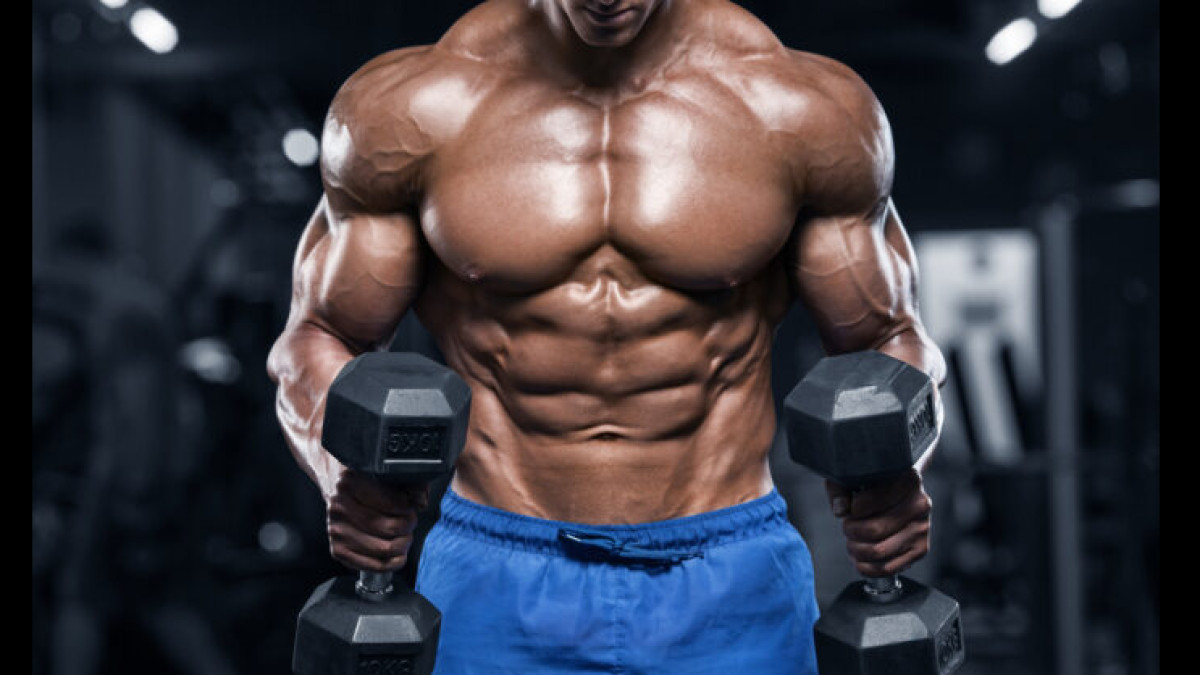 Rad-140 Sarms: Testolone SARM RAD-140 Dosage, Side Effects, Before And After Results