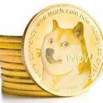DogeCoin Millionaire Profile Picture