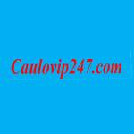Soi Cầu 247 Profile Picture