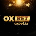 ox bet Profile Picture