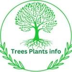 Trees plants info profile picture