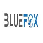 bluefoxto Profile Picture