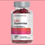 Anatomy One CBD Gummies Profile Picture