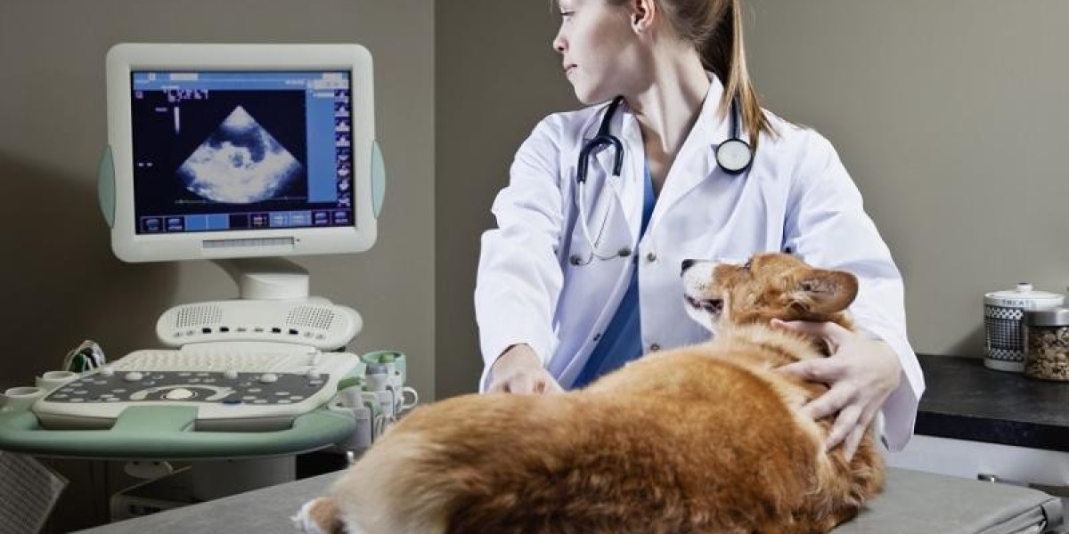 Global Veterinary Reference Laboratory Market Size 2023 – 2032