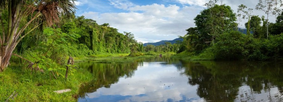 Machu Picchu Amazon Peru Cover Image