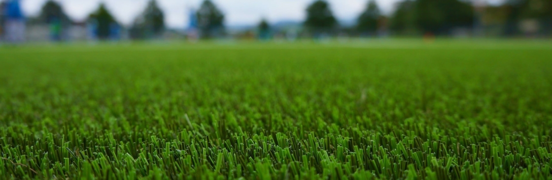 Artificial Grass Brisbane Cover Image