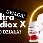 lek ultra cardio x Profile Picture