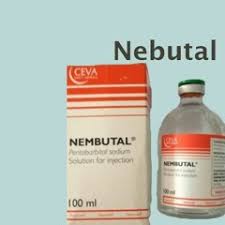 Order Nembutal Online