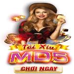 Hitclub Profile Picture