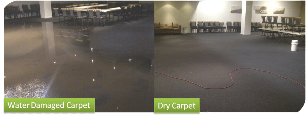 What to Do After a Flood: Wet Carpet Drying in Melbourne