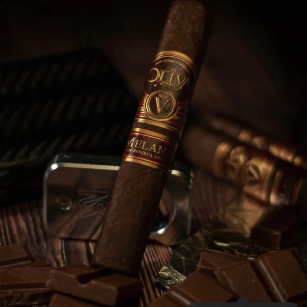 Unraveling the Beauty of Partagas Cigar Bundles