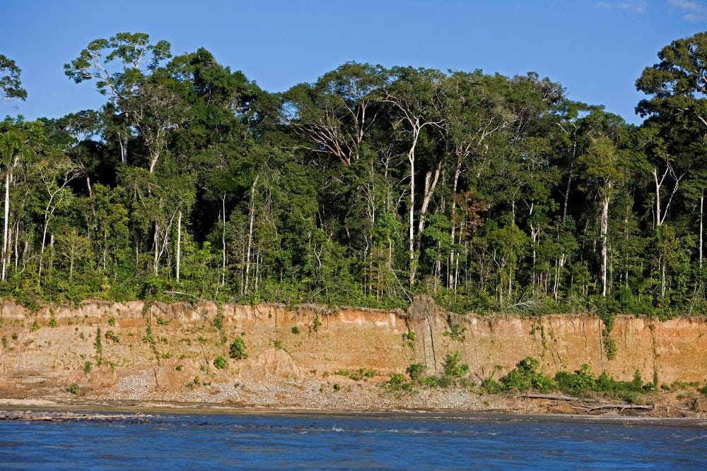A Complete Guide to Manu National Park: Peru’s Ecological Gem | by Machu Picchu Amazon Peru | Sep, 2023 | Medium