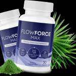 Noah Croes Profile Picture