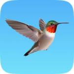 Debora wilson Profile Picture