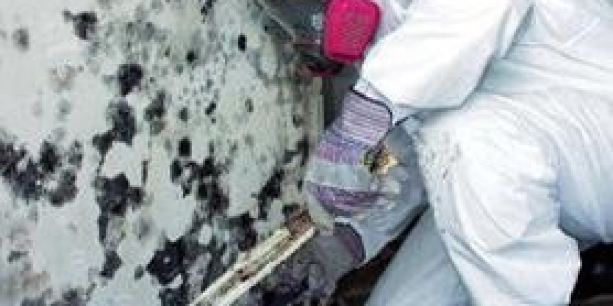 Lead Removal Company can help in ensuring you have pure air at your place