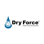 Dry Force Profile Picture