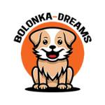 Bolonka Dreams profile picture