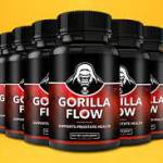 Gorilla Flow Profile Picture