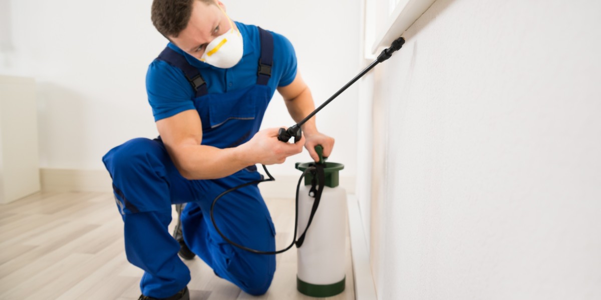 What to Expect During a Professional Pest Inspection?