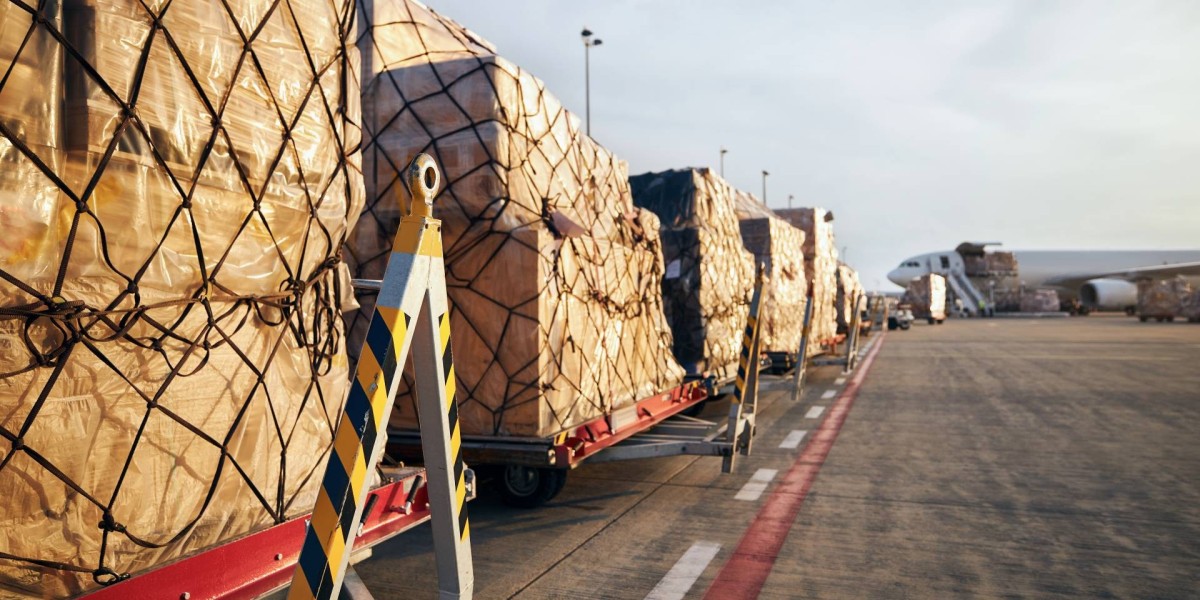 Navigating the Logistics Landscape: Direct Freight Express Overview