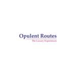 Opulent Routes Profile Picture