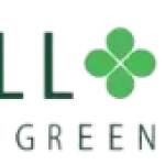 Hillock Green Profile Picture