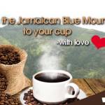 Jamaican Blue Mountain Coffee profile picture