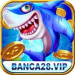 banca28 casino Profile Picture