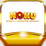 Nohu Games Profile Picture