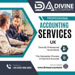 Divine Accountants Profile Picture