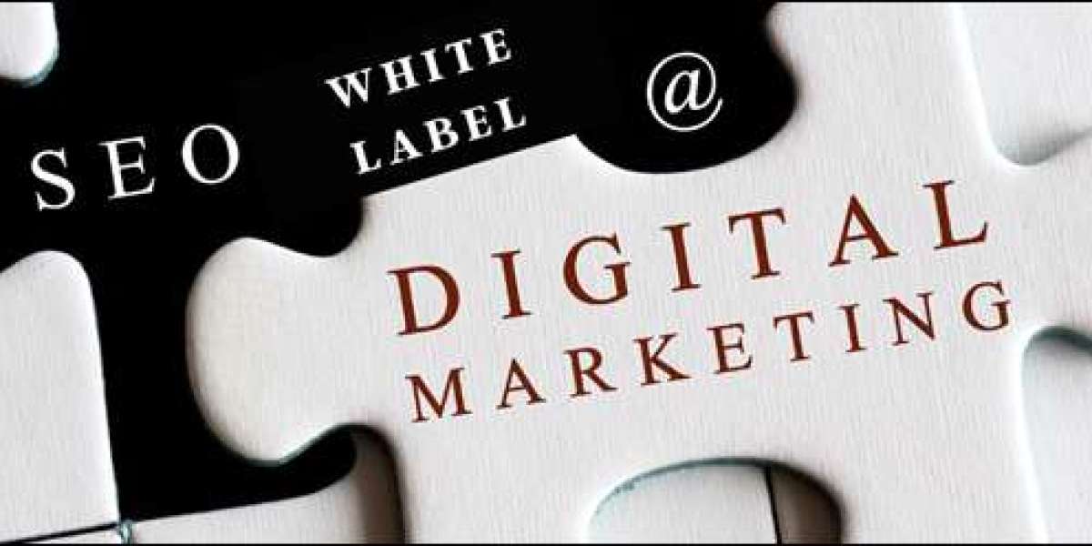 Exploring: White Label Marketing Agency India and WordPress Website Costs in India