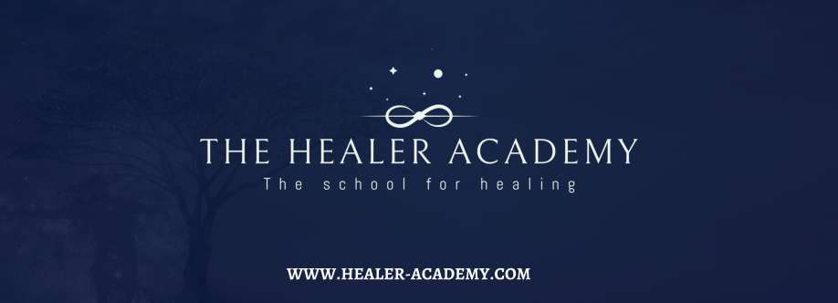 The Healer Academy Cover Image