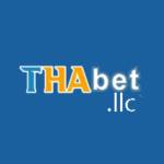 Thabet llc Profile Picture