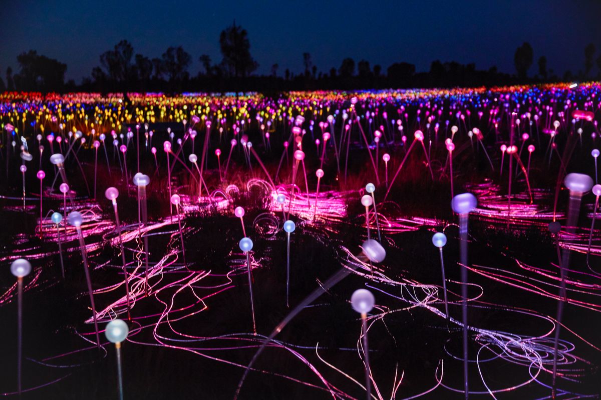 Mesmerizing Spectacle: The Field of Light Uluru