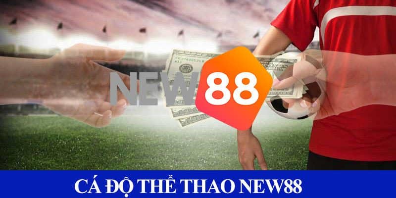 Thể thao New88 - Sân chơi cá cược đỉnh cao, thỏa mãn đam mê