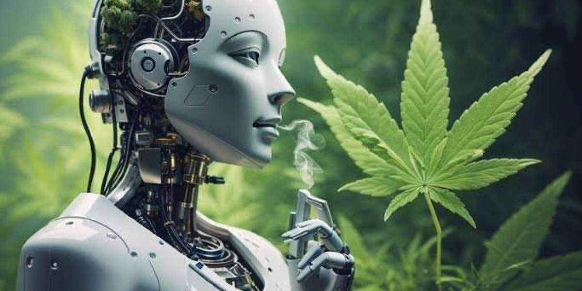 The Intersection of Cannabis and Technology: Innovations Shaping the Future