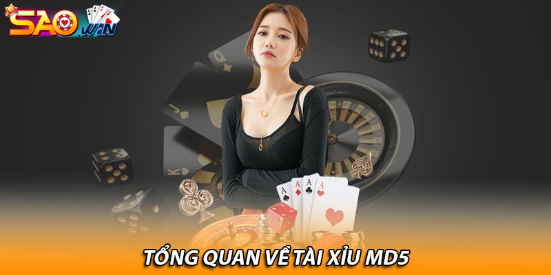 Tài Xỉu MD5 Saowin Mới Lạ Và Hấp Dẫn Hiện Nay