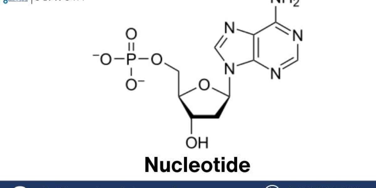 Nucleotide Price Forecast Report: Market Analysis and Future Outlook