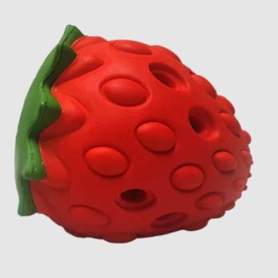 Enrichment Feeder - Strawberry Profile Picture