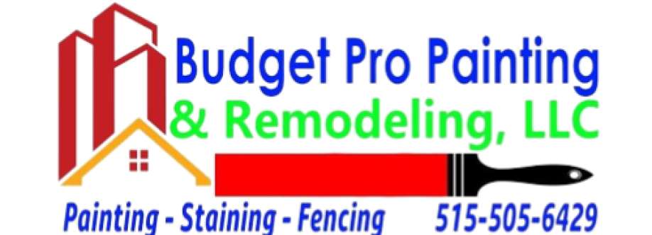 Budget Pro Painting & Cover Image