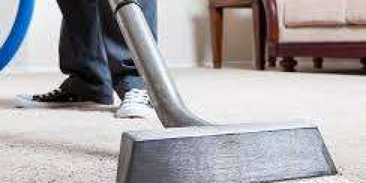 Enhancing Home Style with Expert Professional Carpet Cleaning Services