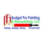 Budget Pro Painting & Profile Picture