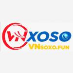 vnsoxofun Profile Picture