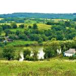 Antonia Thomas Profile Picture