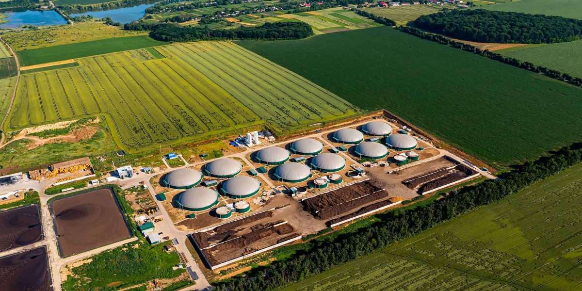 Biomethane Market Size, Growth & Industry Analysis Report, 2032